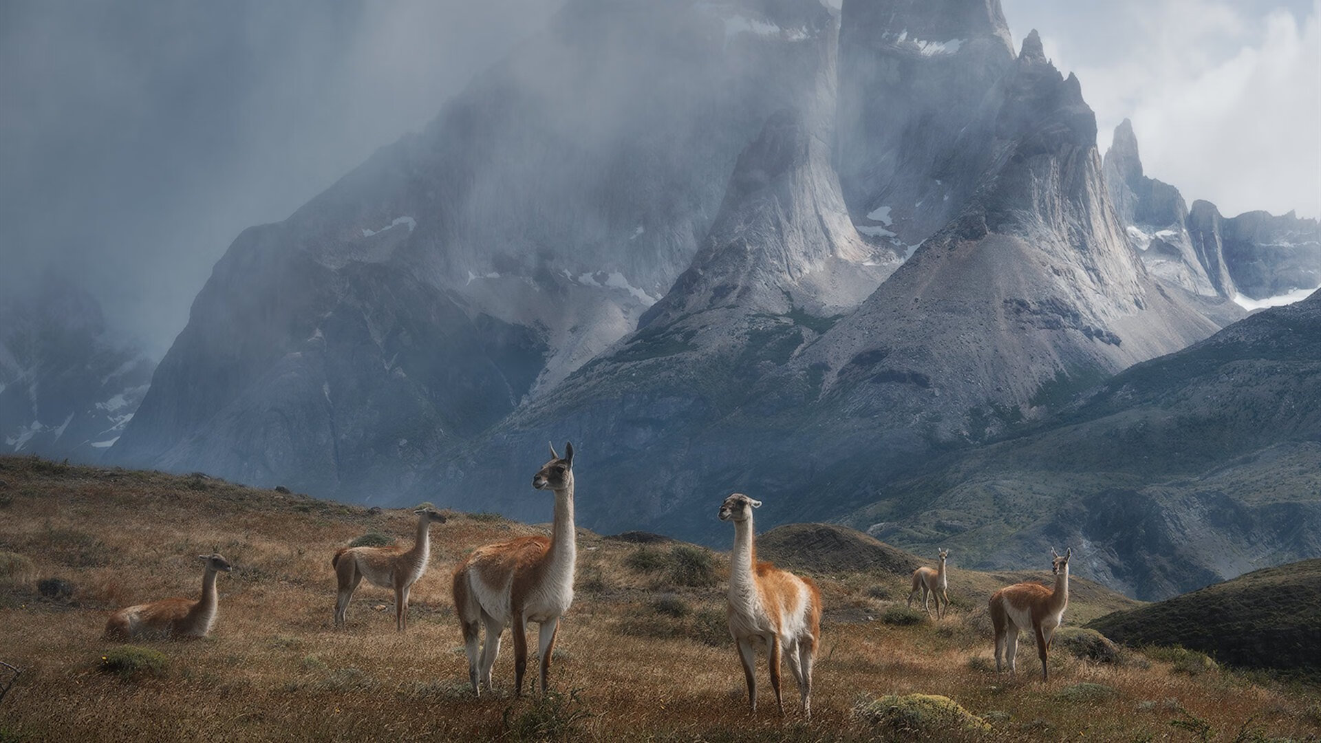 铁血B费与救赎之矛，葡萄牙闪电战击碎南非，赖斯用头槌砸碎心魔