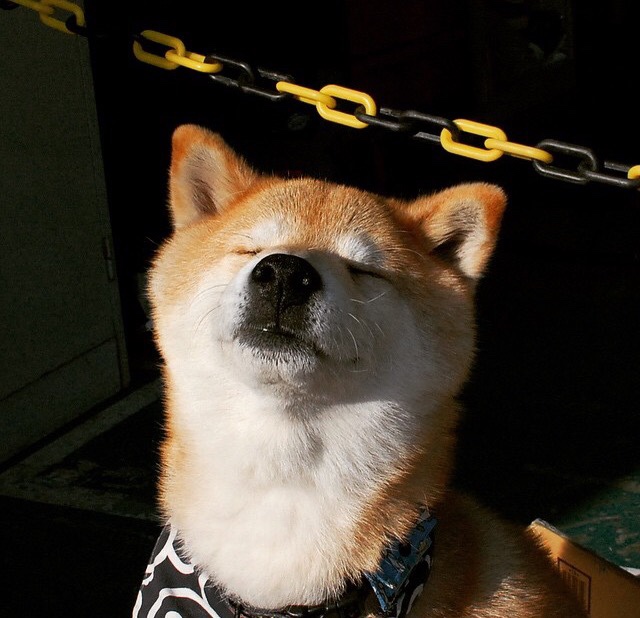 足球的夜晚,篮球的星空,当安联球场映亮北岸花园