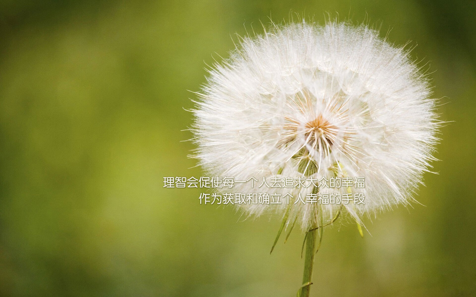 跨越时空的对决,当广东队遇见火箭,保罗用末节狂飙证明自己