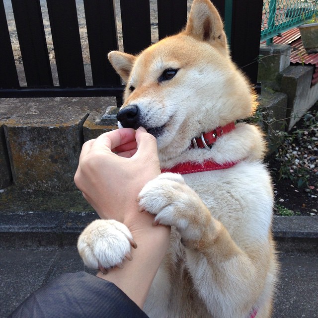 跨界巅峰对决，广东队对阵快船，杜兰特赛后评分拉满，唯一性之战引全球瞩目