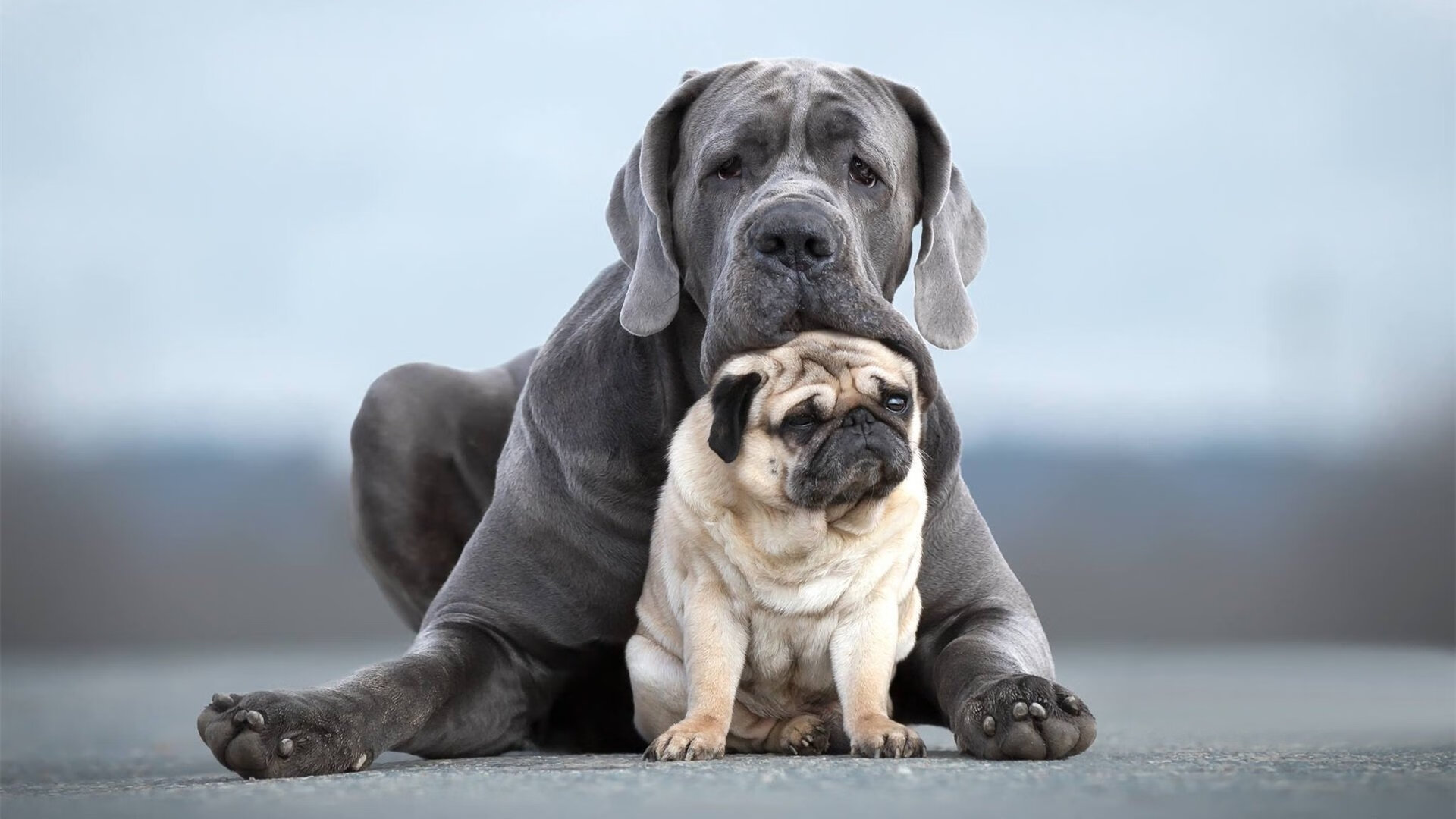 跨越太平洋的暗影对决，当魔术踏平广厦与爱德华兹接管奥运关键战的同一剧本
