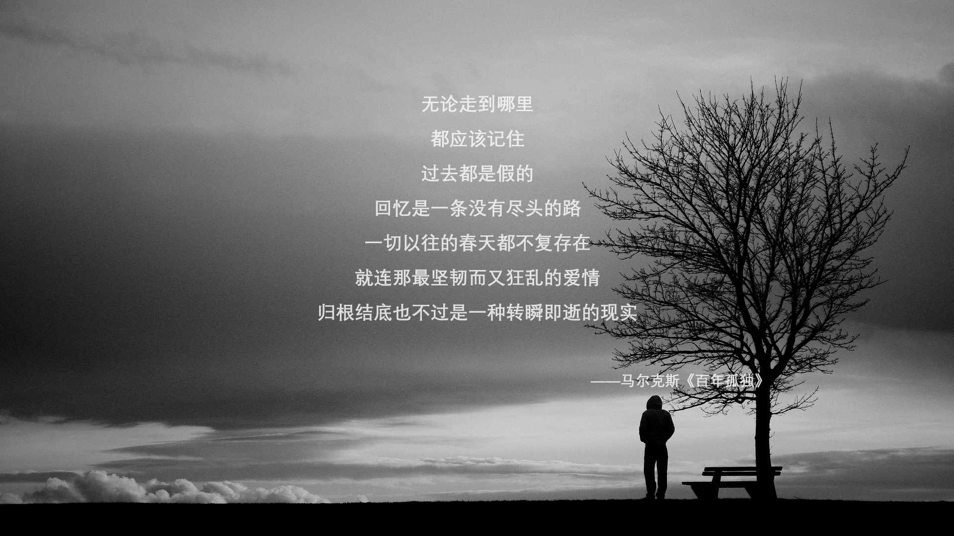 无解的利刃，沉默的指挥官，当范弗利特成为达拉斯独行侠的终极答案