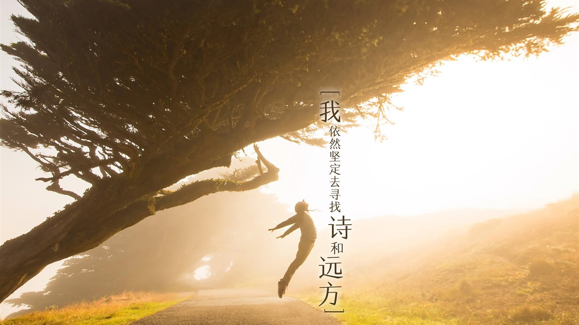 蓝衣军团陷落布达佩斯,范戴克铁血统领,匈牙利书写H组唯一神话
