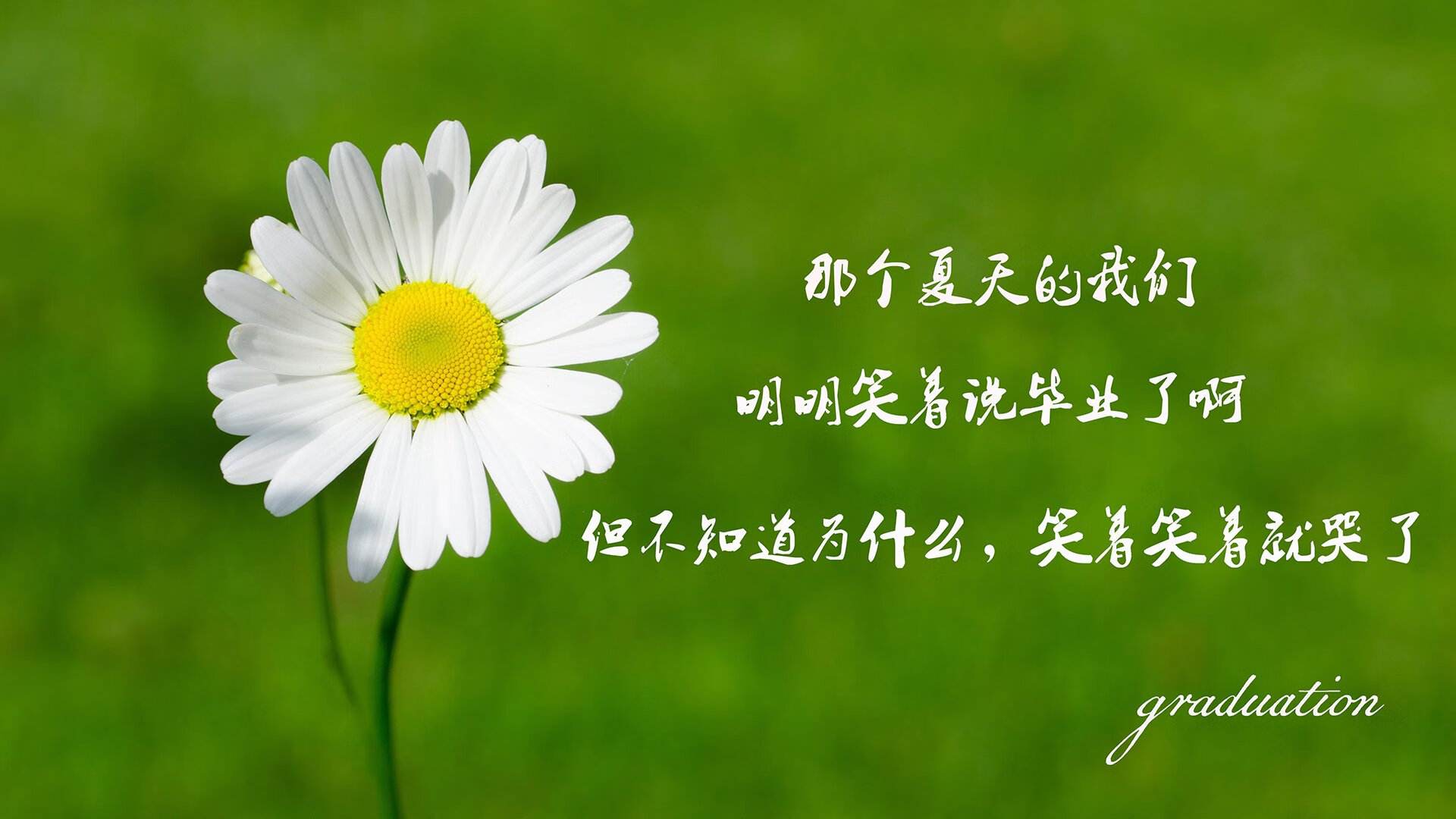 开云APP-宿命的唯一答案，2026世界杯F组，伊拉克碾压乌拉圭，范戴克闪耀的不朽之夜